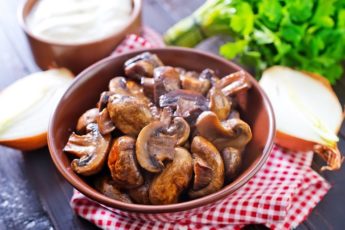 mushroom-6
