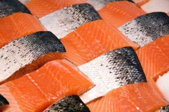 salmon-fillets