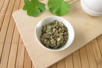 lady-s-mantle-alchemillae-herba-3