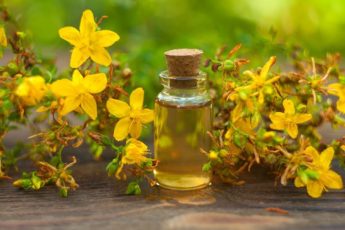 essence-of-hypericum-flowers-on-table-in-beautiful-glass-bottle-5